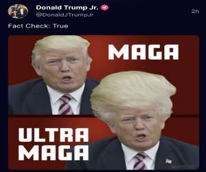 Fact Check