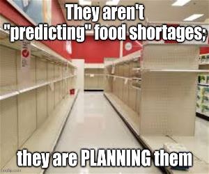 Food Shortages