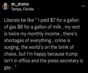 Liberal Logic