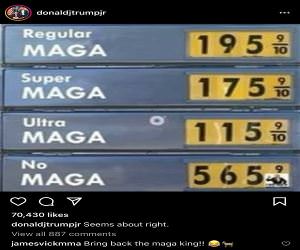 Maga