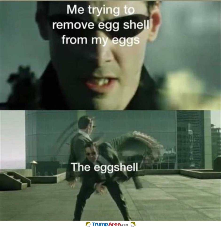 The Eggshell