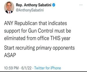 Any Rino