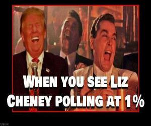 Bye Liz