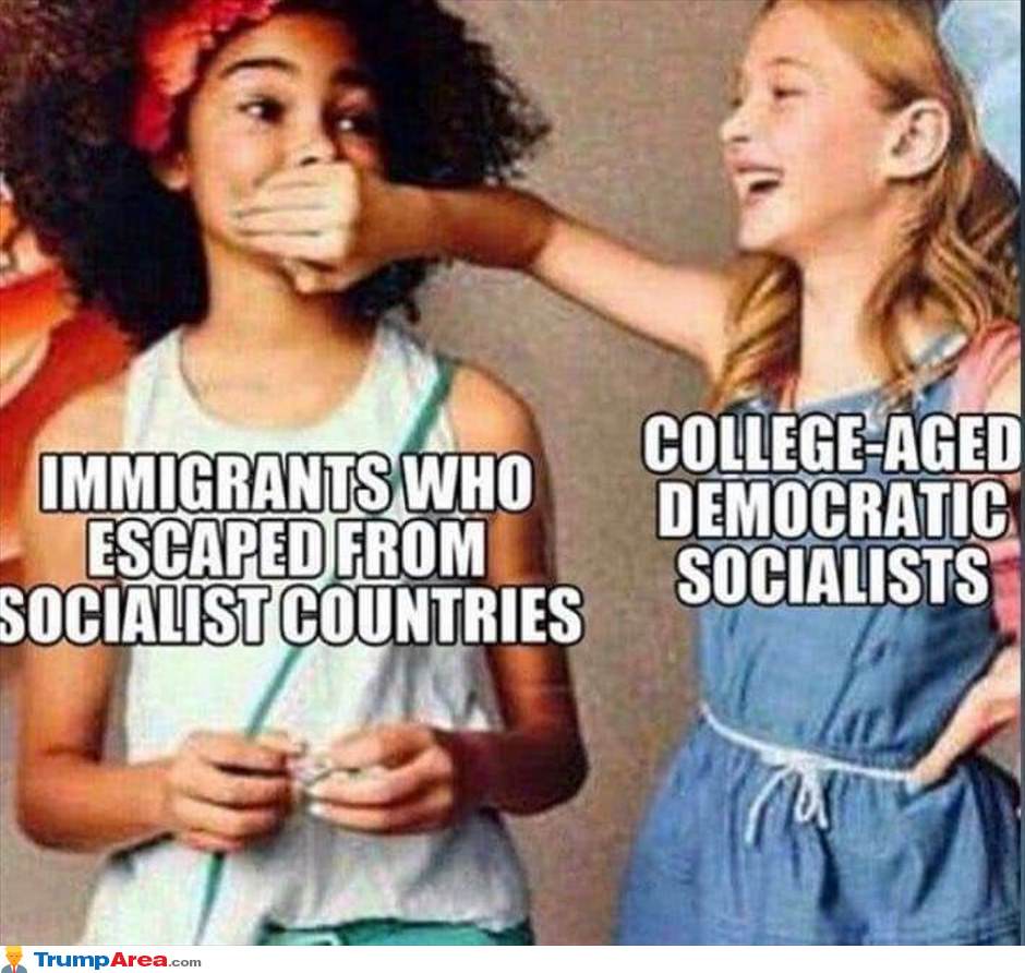 Socialist Idiot Kids