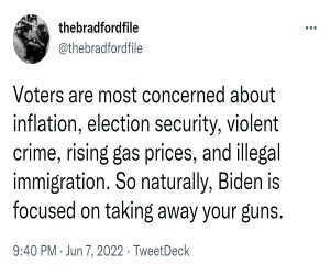 Voters