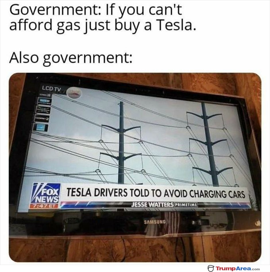 Also The Government