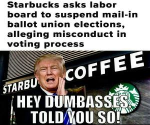 Hey Dumbasses