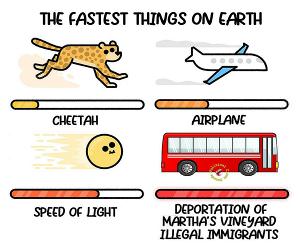 Fastest Things On Earth