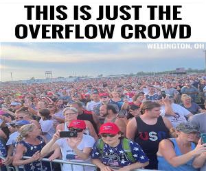 Just The Overflow