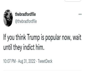 Popular Now