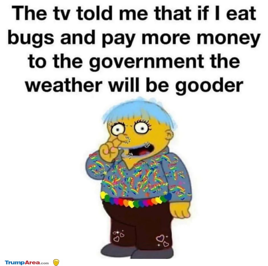 The Tv Told Me