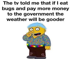 The Tv Told Me