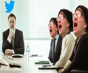 Beautiful Day At Twitter