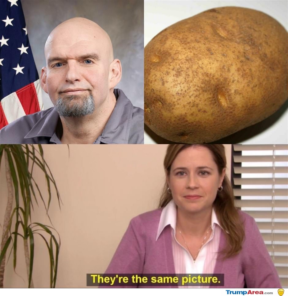 The Same Picture