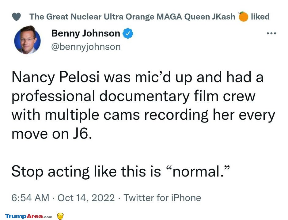 What Really Happened