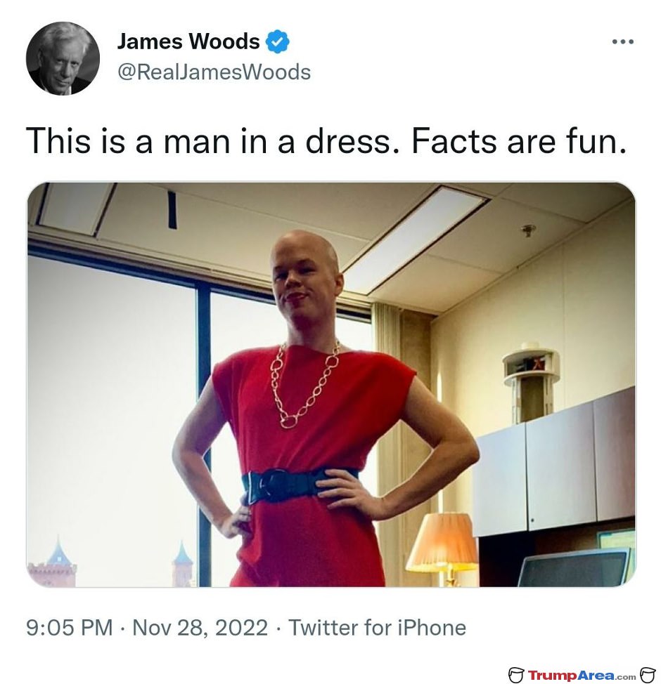 A Man In A Dress