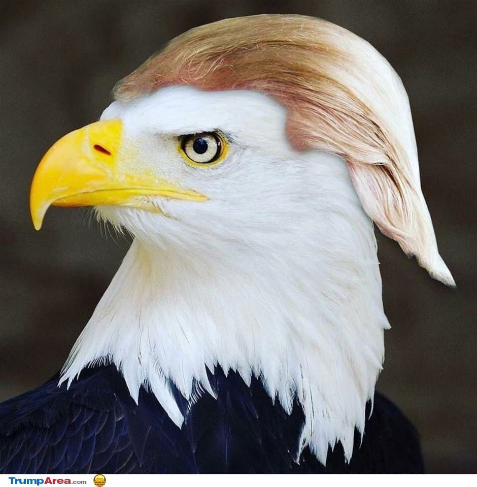 The Eagle