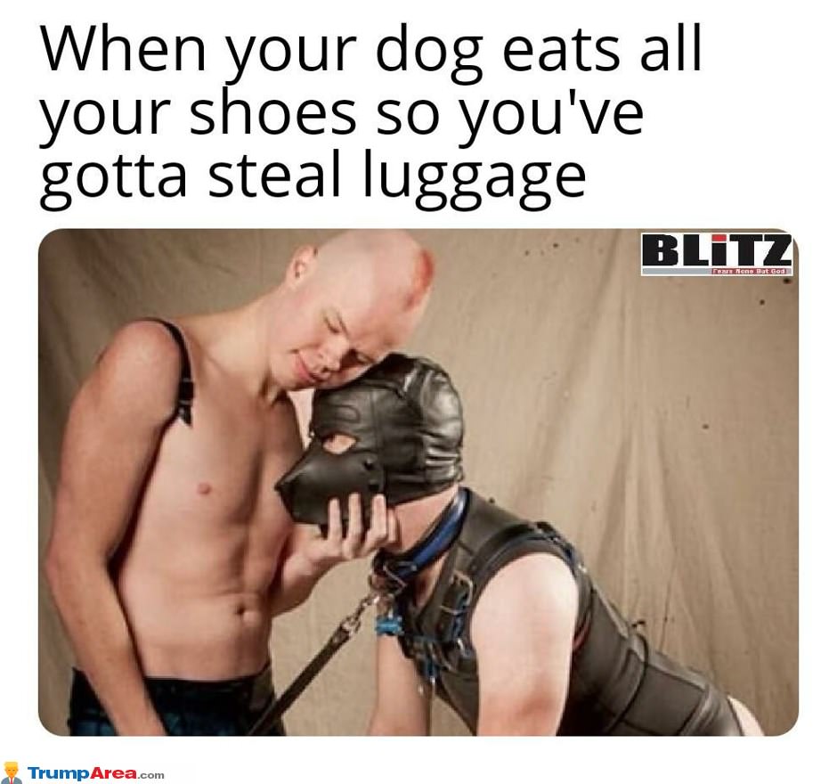 Dog Ate All My Luggage