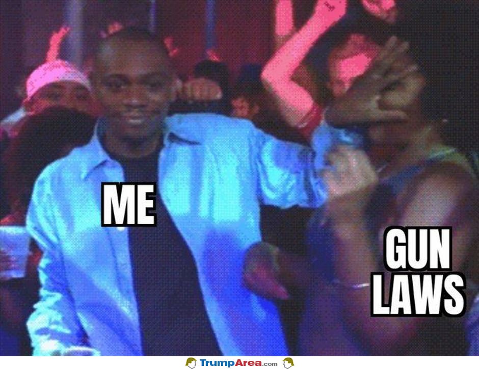 Me And Gun Laws