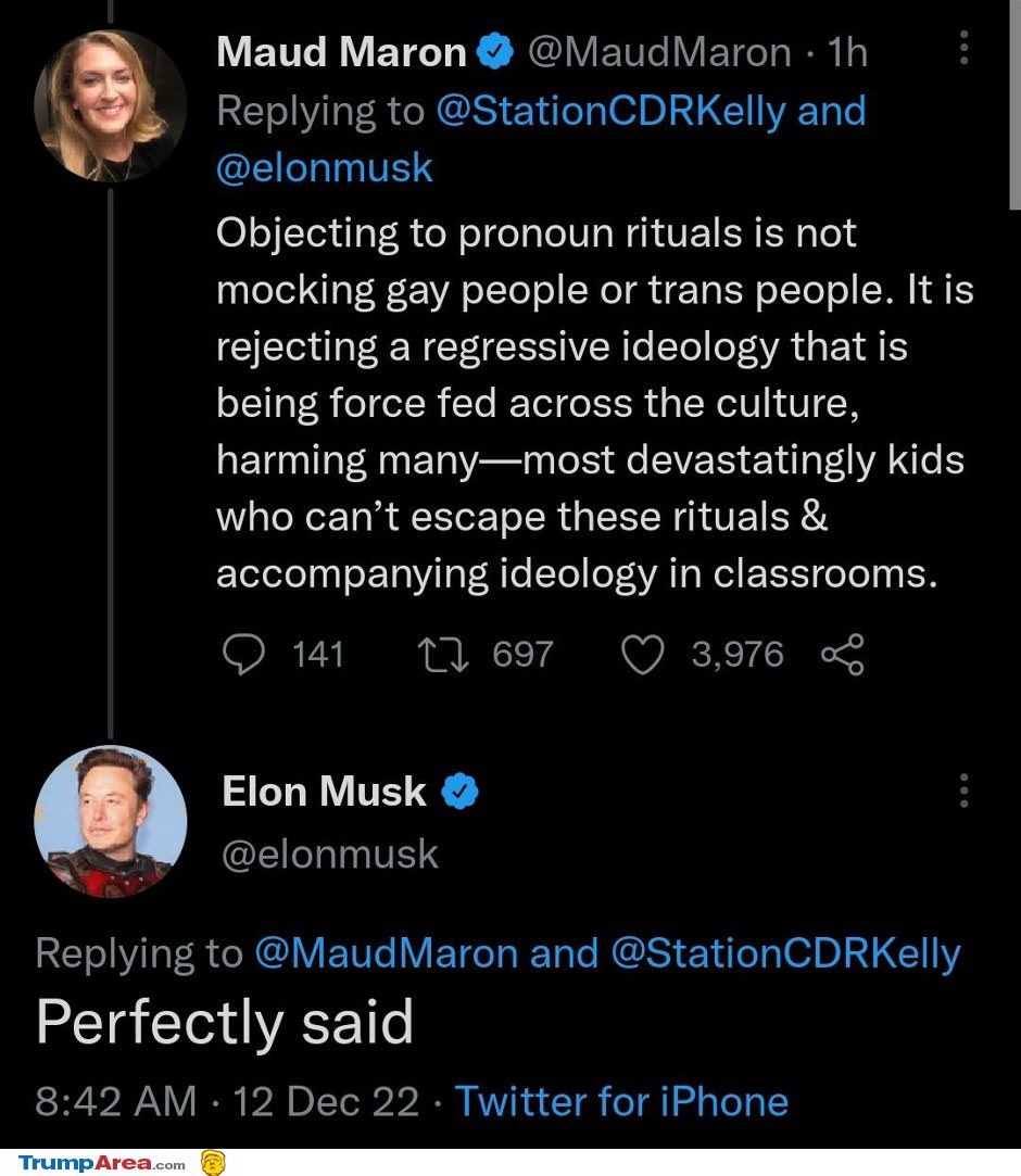 Ponouns Insanity