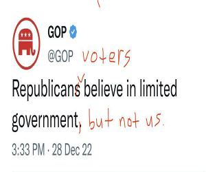 Republican Voters