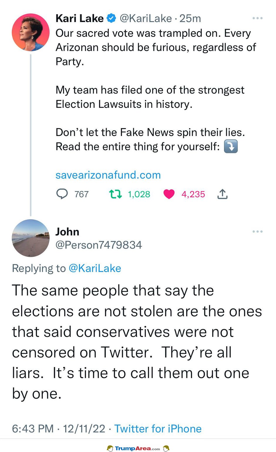Stolen Elections