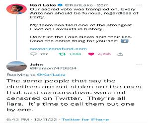 Stolen Elections
