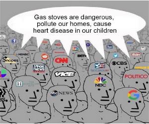 Gas Stoves