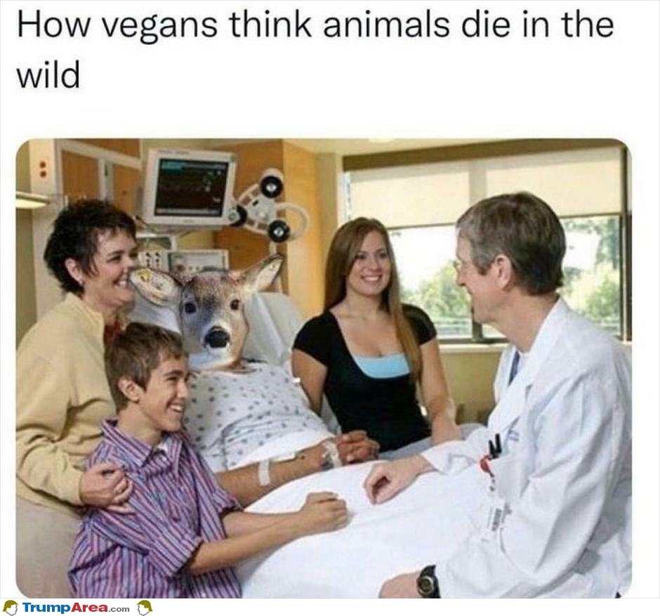 Vegans