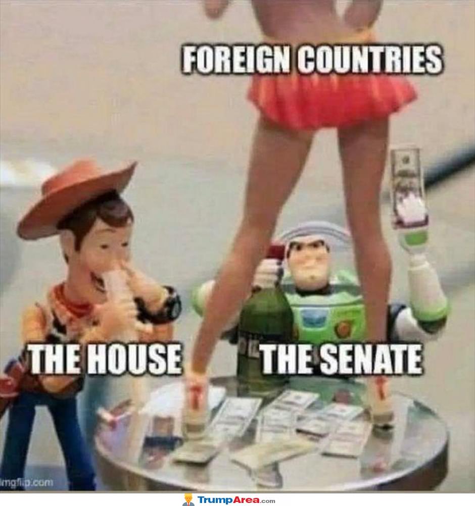 Our Government