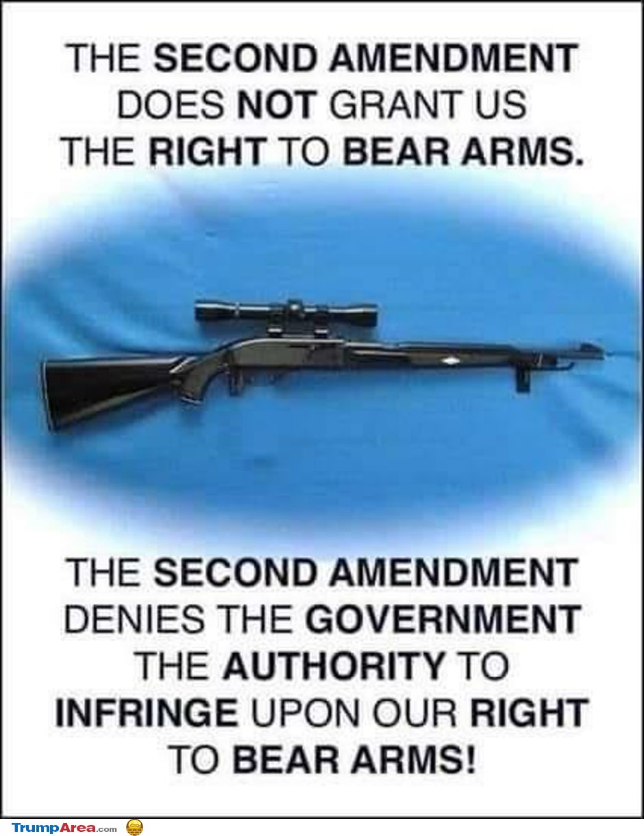 The Second Amendment