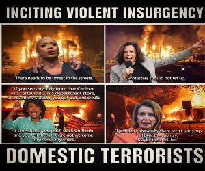 Actual Domestic Terrorists