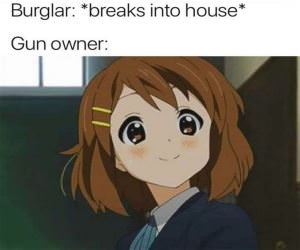 Breaks Into House