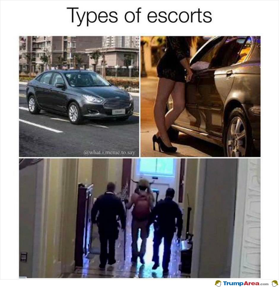 Escorts