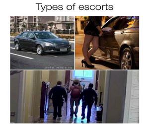 Escorts