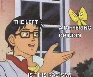 Everything Is Racist