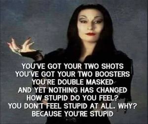 How Stupid Do You Feel