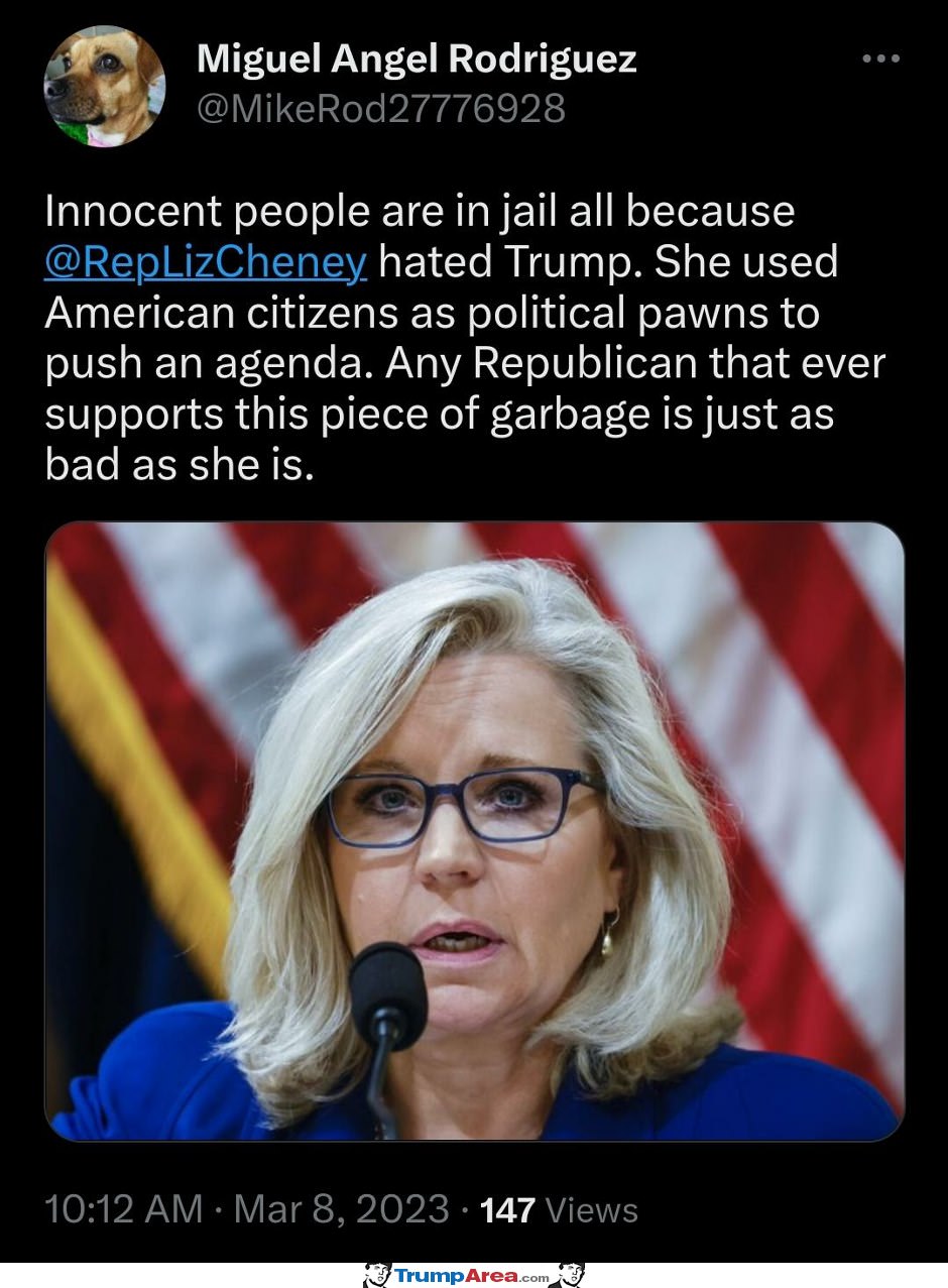 Liz Cheney Is A Horrible Person