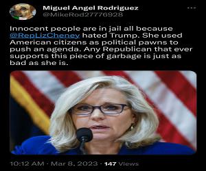 Liz Cheney Is A Horrible Person