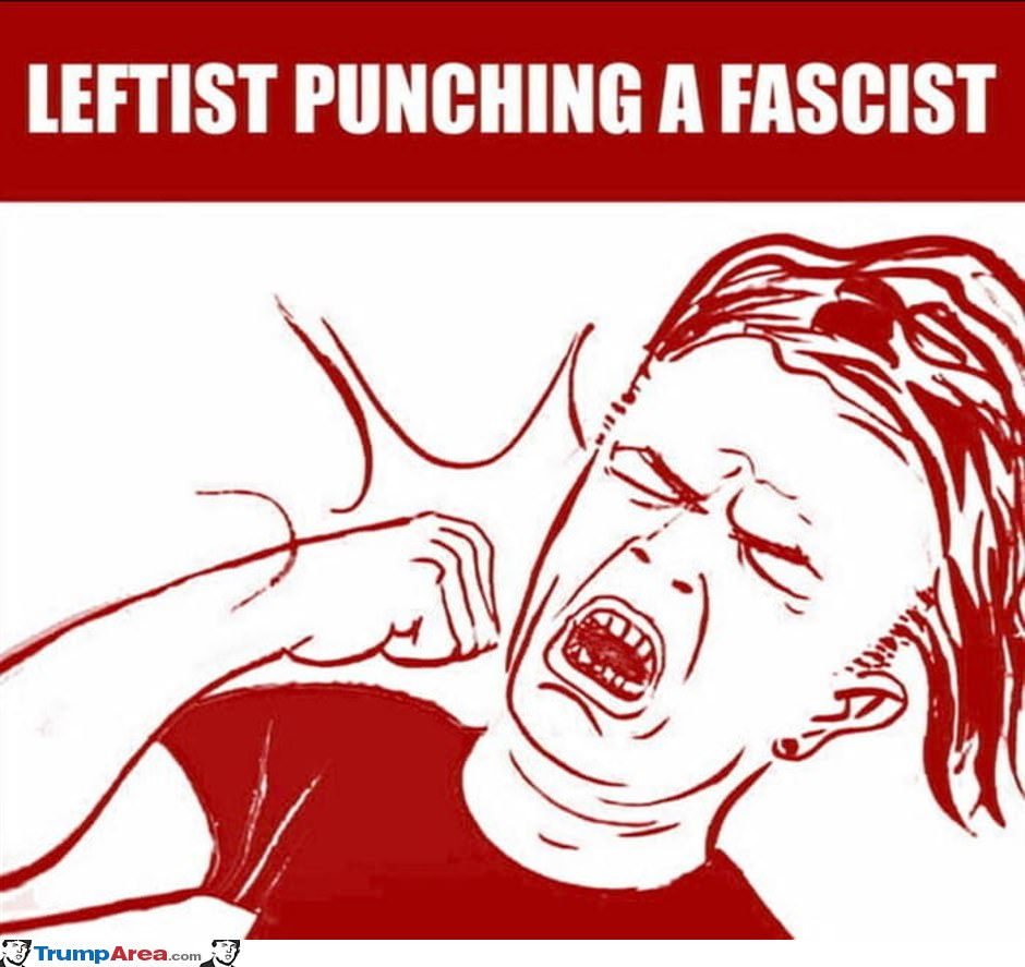 Punch A Fascist