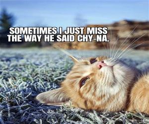 Sometimes