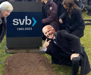 Svb