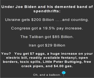 Thanks Liberals