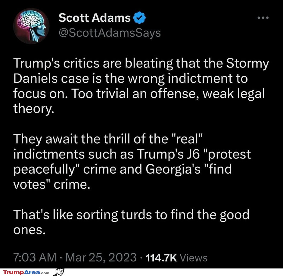 Trumps Critics