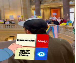 Another Democrat Insurection Today