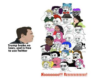 Broke No Laws