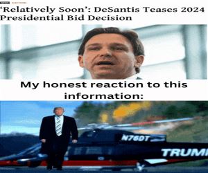 My Honest Reaction