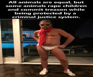 All Animals