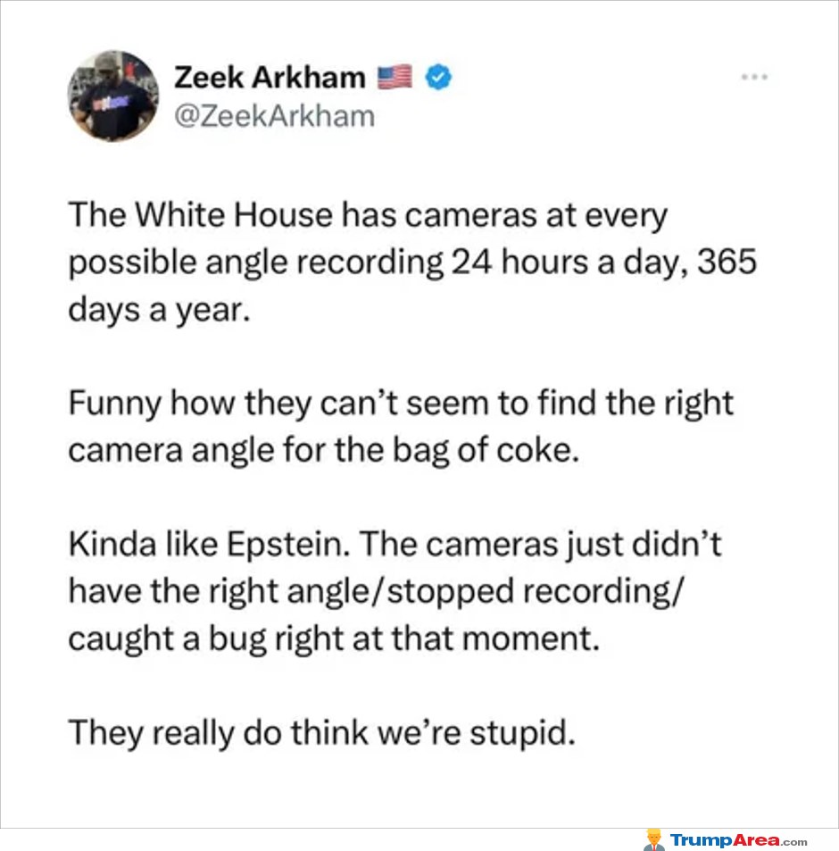 They Think We Are That Stupid