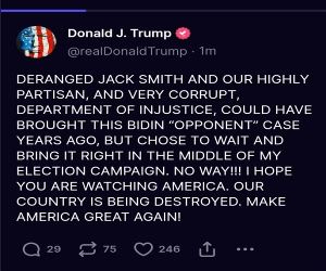 Deranged Eleciton Interference